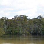 Best campgrounds in Southeast Texas Piney Woods camping