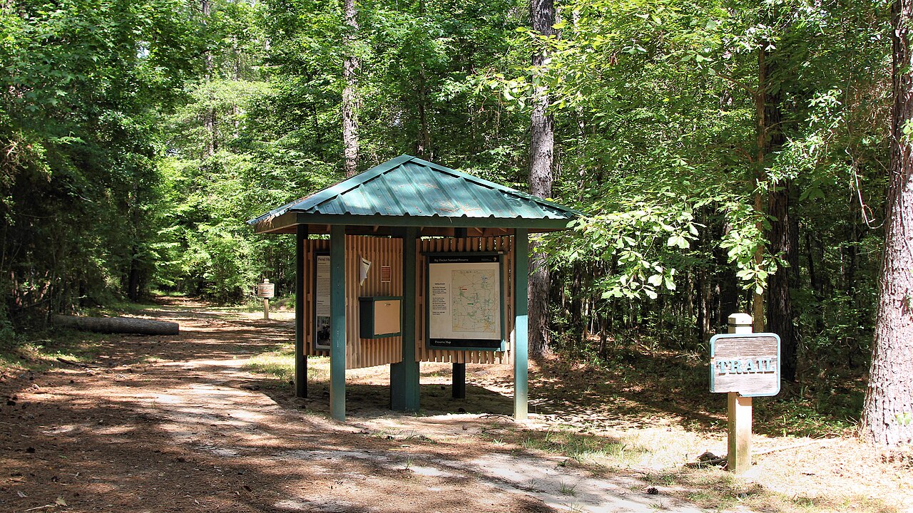 Big Thicket National Preserve Southeast Texas backcountry camping