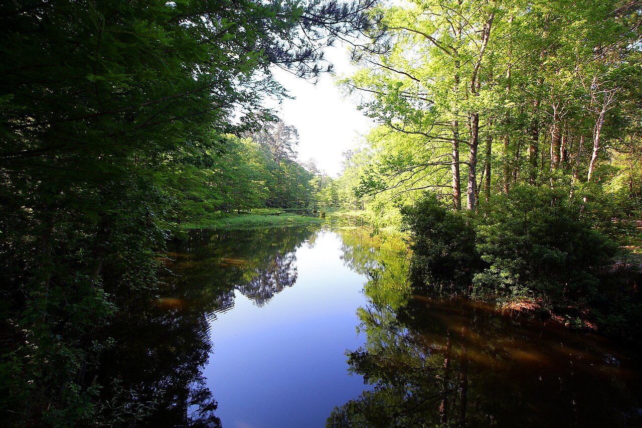 Martin Dies Jr State Park Jasper Texas Neches River camping