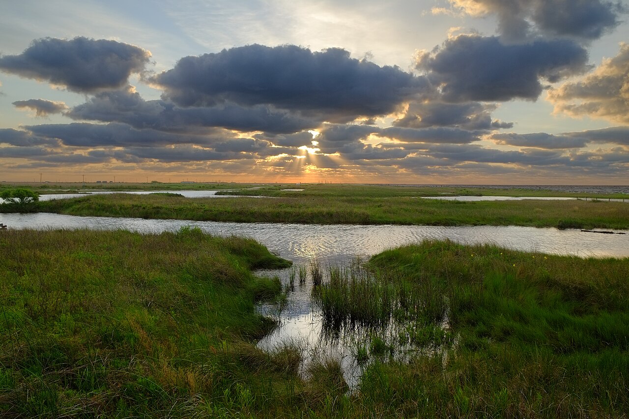 Sea Rim State Park Gulf Coast beach camping Sabine Pass Texas