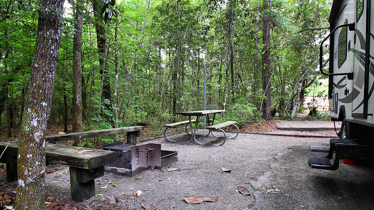 Village Creek State Park Lumberton Texas Piney Woods camping