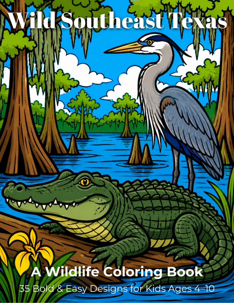 We Made a Southeast Texas Wildlife Coloring Book — And It’s on Amazon