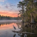 B.A. Steinhagen Lake at sunrise surrounded by cypress trees in East Texas