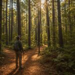 Solo hiker on a pine forest trail at Huntsville State Park in the Sam Houston National Forest