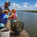 Family pulling a crab trap full of blue crabs from a dock at Bolivar Peninsula on the Texas Gulf Coast