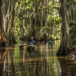 Two kayakers paddling around a bend on Village Creek through cypress and Spanish moss in Southeast Texas